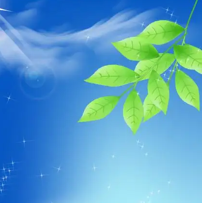 一粒米的追“光”者